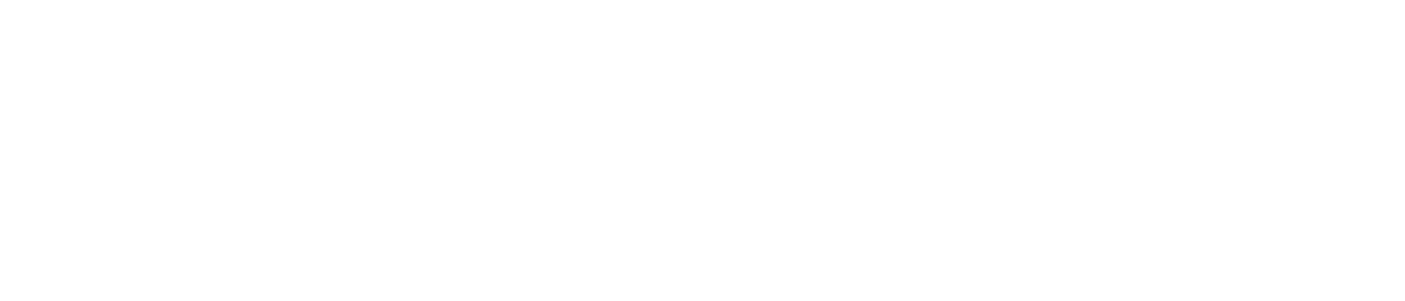 Logo Icaro con ali a sinistra completamente bianco